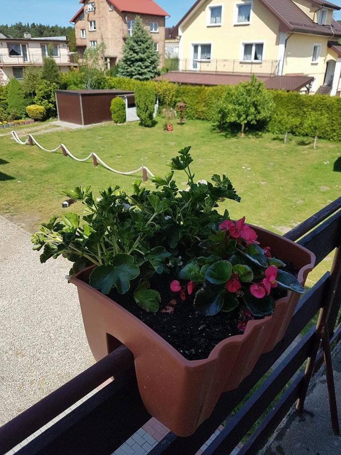 Pokoje Goscinne Irena Mieroszyno Buitenkant foto